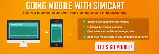 Responsive website: Let's Your Ecommerce Store Go Mobile 