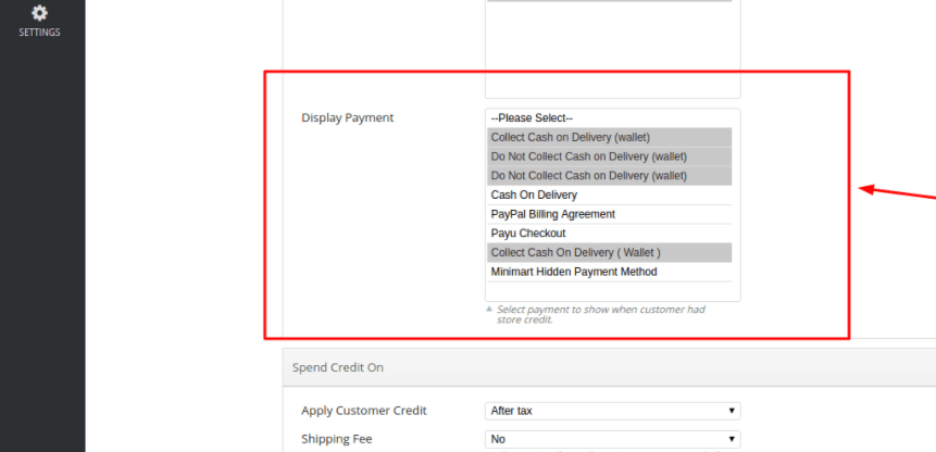 Magento Store Credit - Display Payment